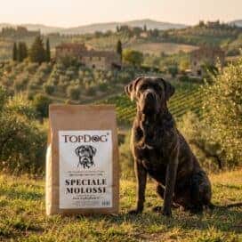 cibo naturale per cani molossi