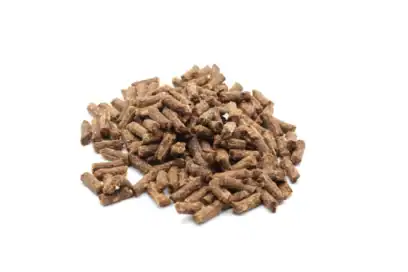 premietti naturali per cani