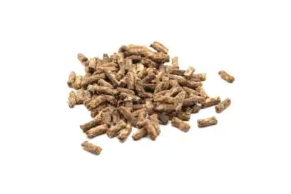 premietti naturali per cani manzo e lampone