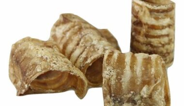 trachea di bovino essiccata per cani
