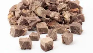 carne di cavallo liofilizzata per cani