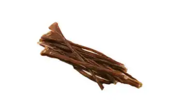 spaghetti di manzo per cani