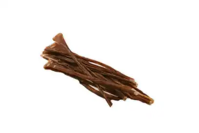 spaghetti di manzo per cani
