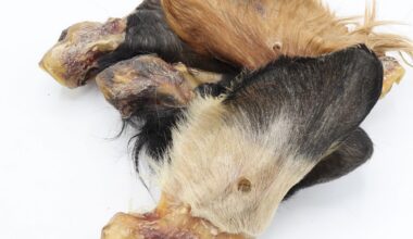 orecchie di bovino con pelo per cani