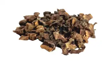 polmone di cavallo essiccato per cani