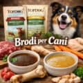 brodi per cani