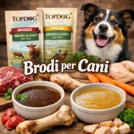 brodi per cani