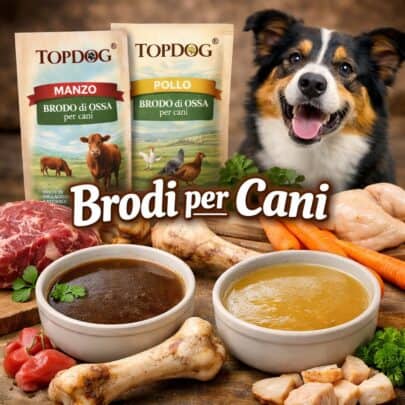 brodi per cani