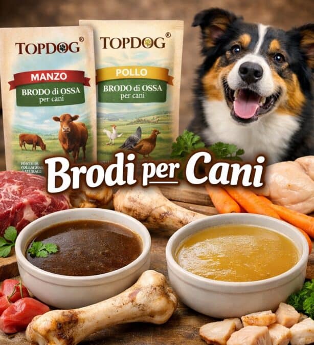 Brodo per Cani