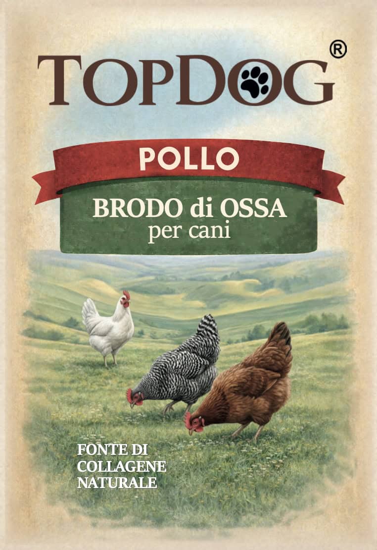 brodo per cani pollo