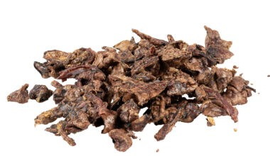 polmone essiccato di coniglio per cani