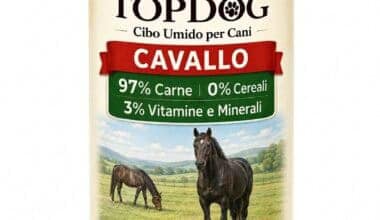 cibo umido monoproteico per cani al cavallo