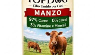 cibo umido monoproteico per cani al manzo