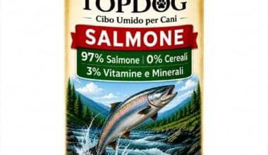 miglior cibo umido monoproteico per cani al salmone