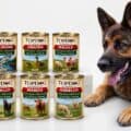 miglior cibo umido monoproteico per cani