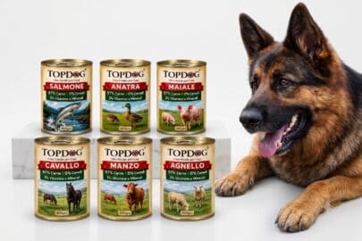 miglior cibo umido monoproteico per cani